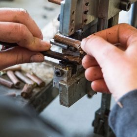 PepiniereVendange-coupe PepiniereVendange-coupe